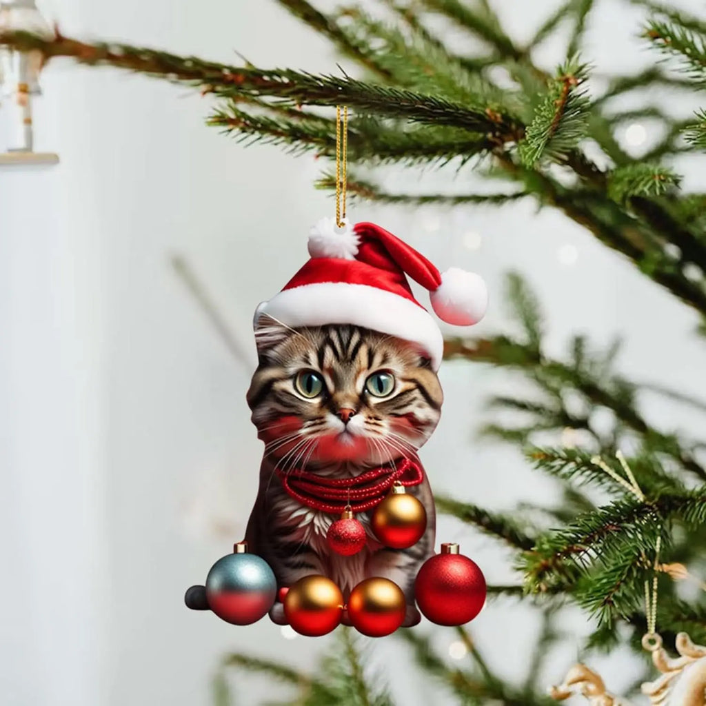 Kat Ornamenten